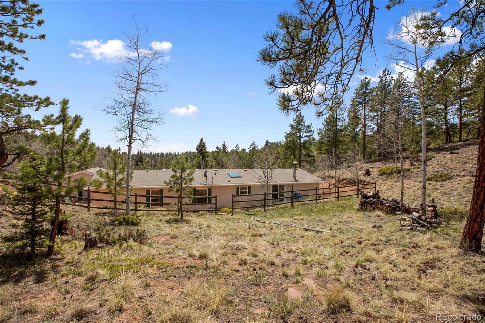 1011 W Bison Creek Trl, Divide, CO 80814