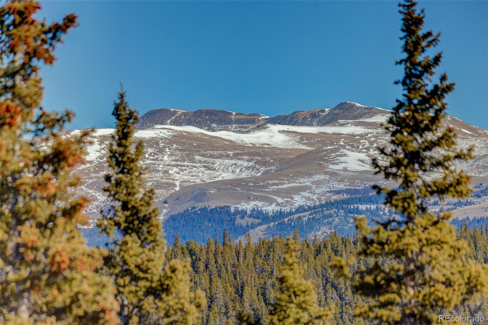 49 Silverheels Crossing, Fairplay, CO 80440