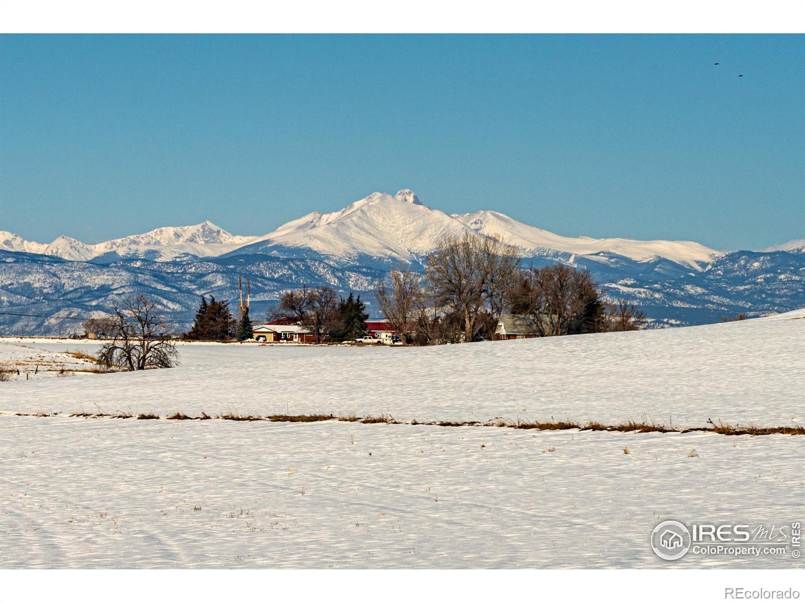 7770 County Road 1, Longmont, CO 80504
