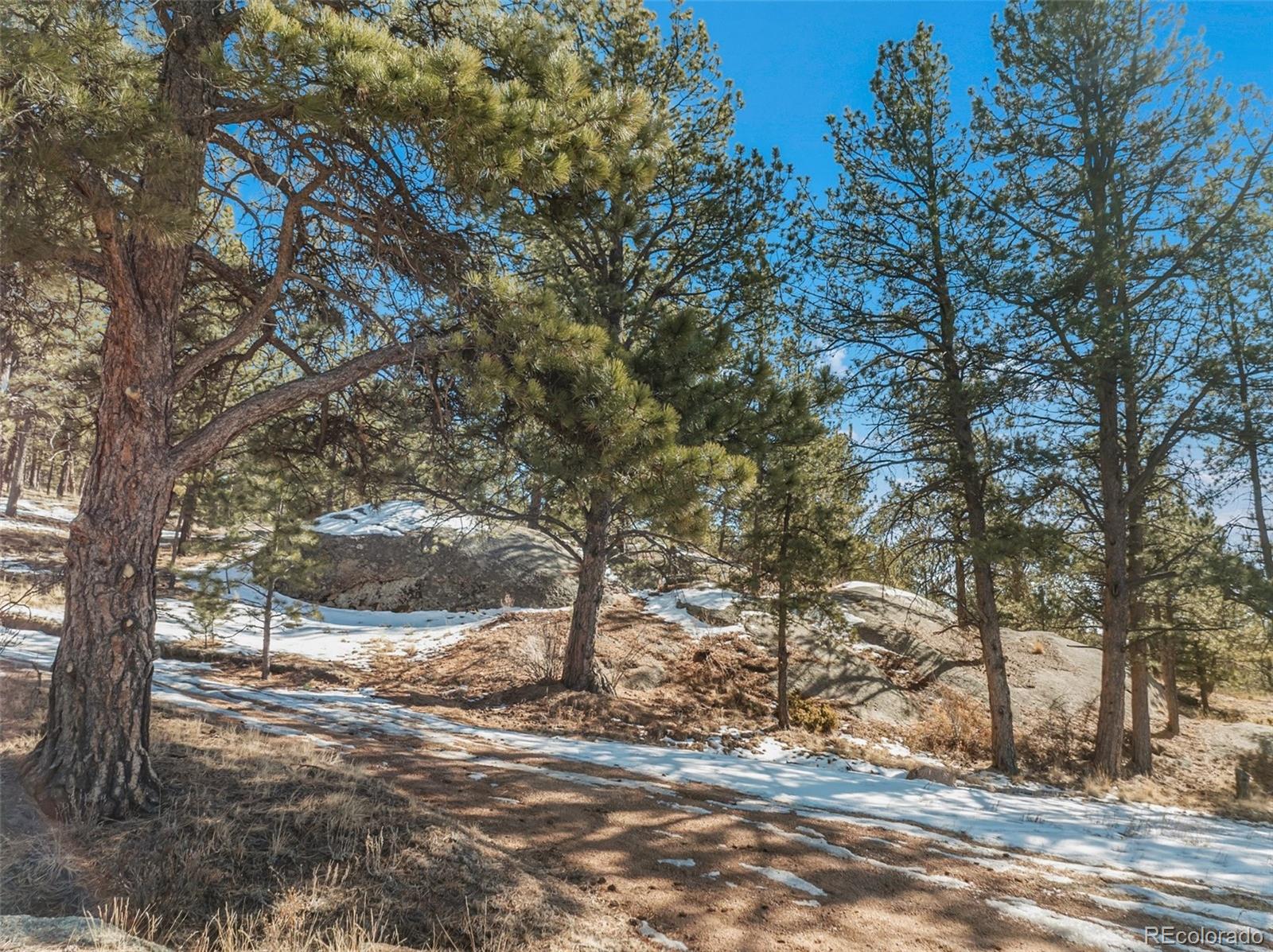 10448 Cr1, Florissant, CO 80816