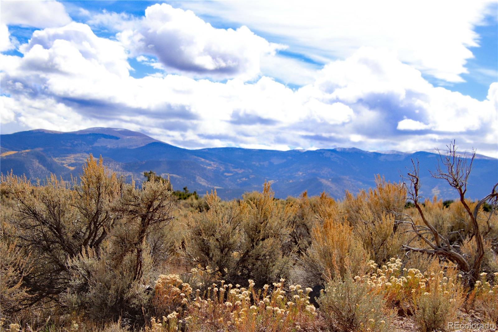 0 Wild Horse Dr, San Luis, CO 81152