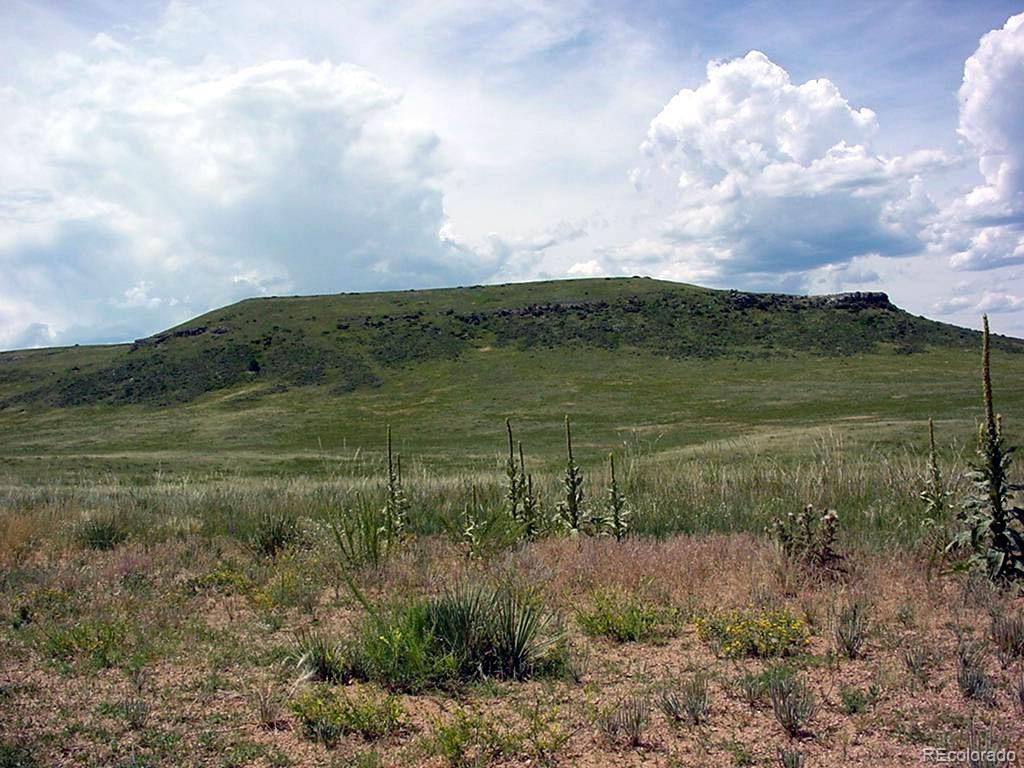 Lot 4 Twin Bluffs Rd, Larkspur, CO 80118