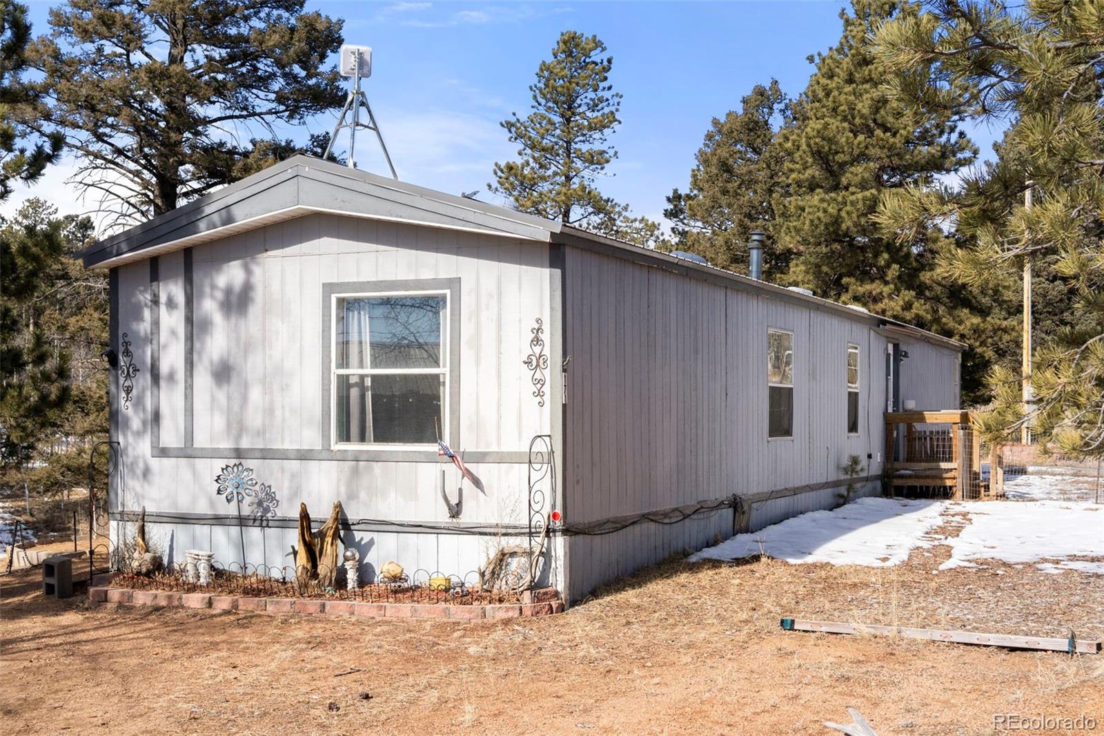 171 Star View Trl, Divide, CO 80814