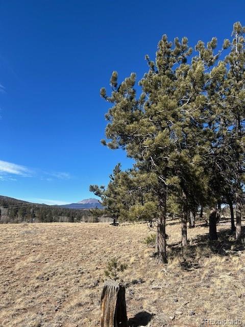 2538 Windmill Dr, Hartsel, CO 80449