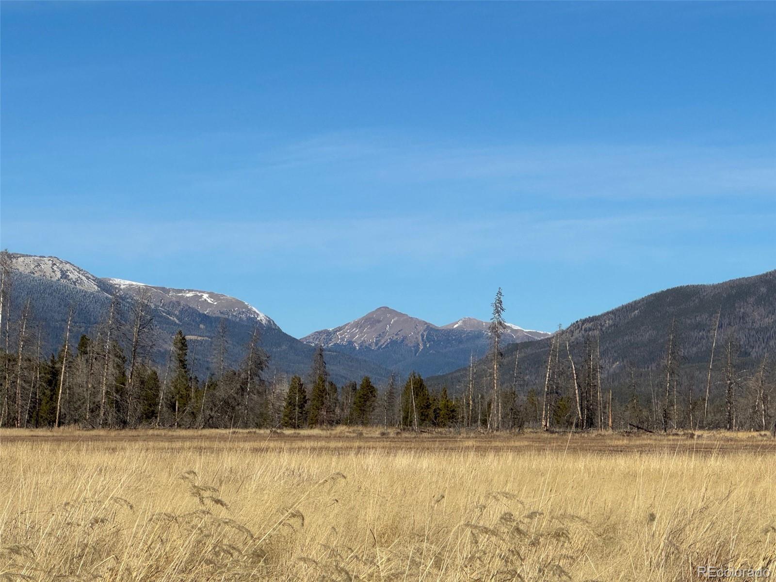 93 Cr 493, Grand Lake, CO 80447