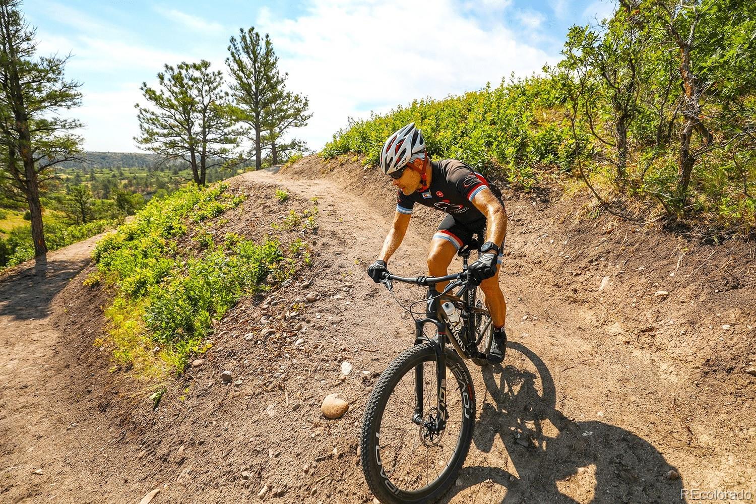 3600 Doubletrack Ln, Castle Rock, CO 80108