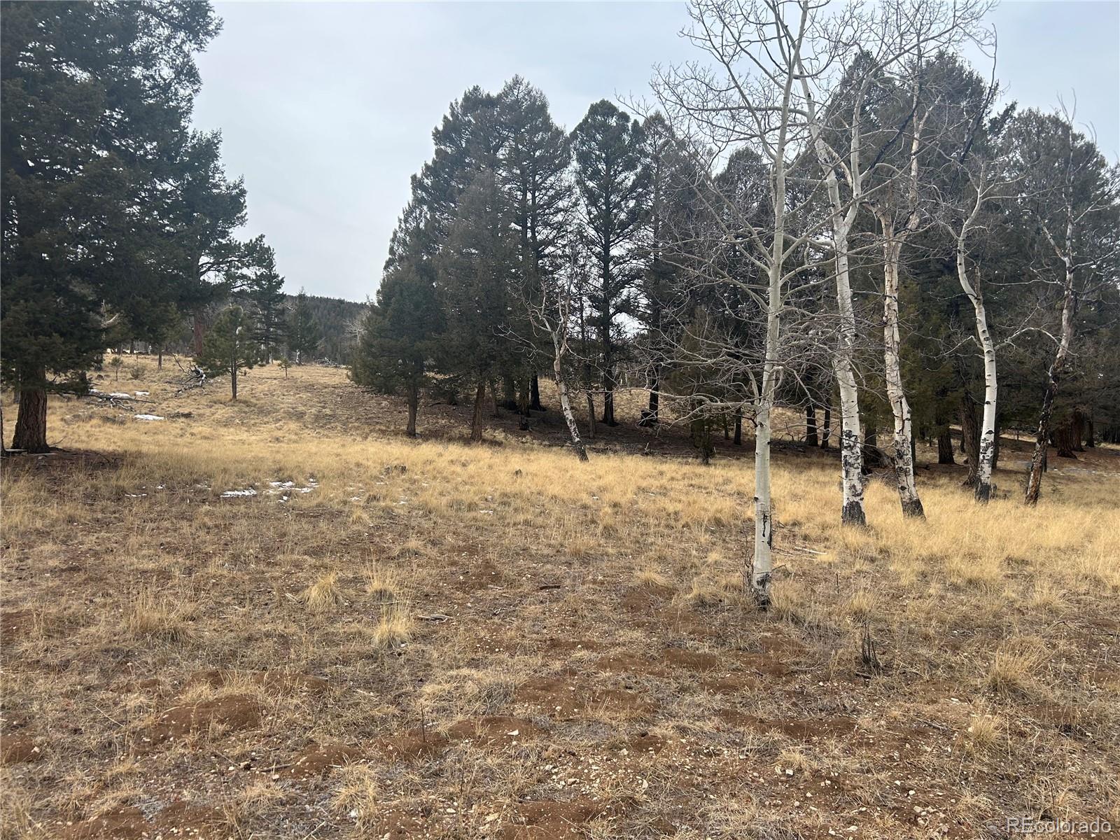 1421 Pitchfork Rd Lot 1233, Hartsel, CO 80449