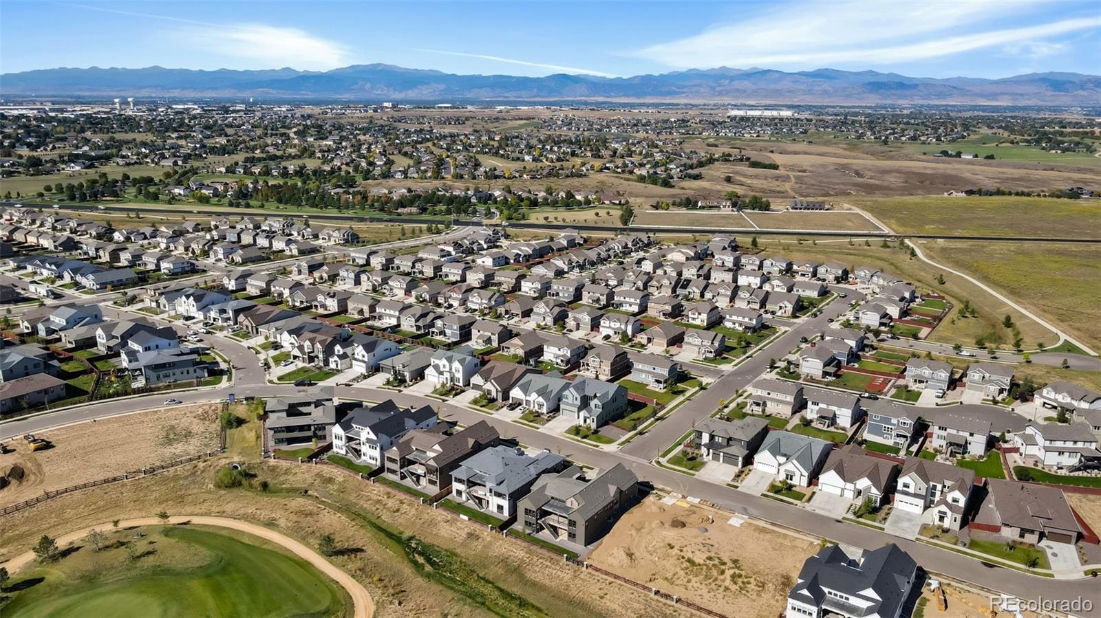 1641 Flourish Ct, Windsor, CO 80550