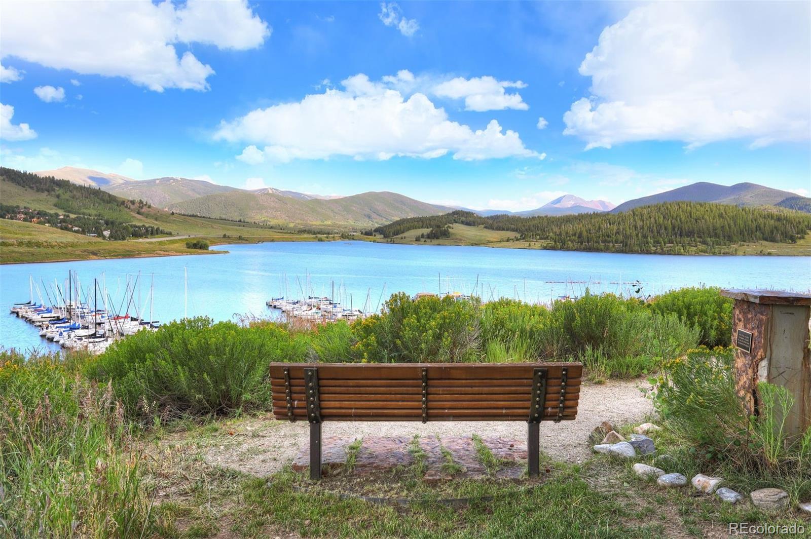 220 E La Bonte St #231, Dillon, CO 80435