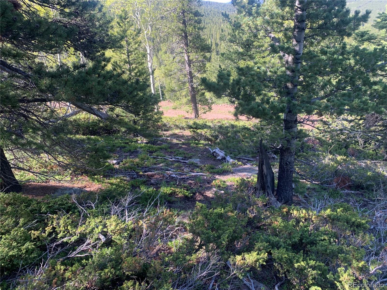 3207 Vaughn Ln Lot 3207, Fort Garland, CO 81133