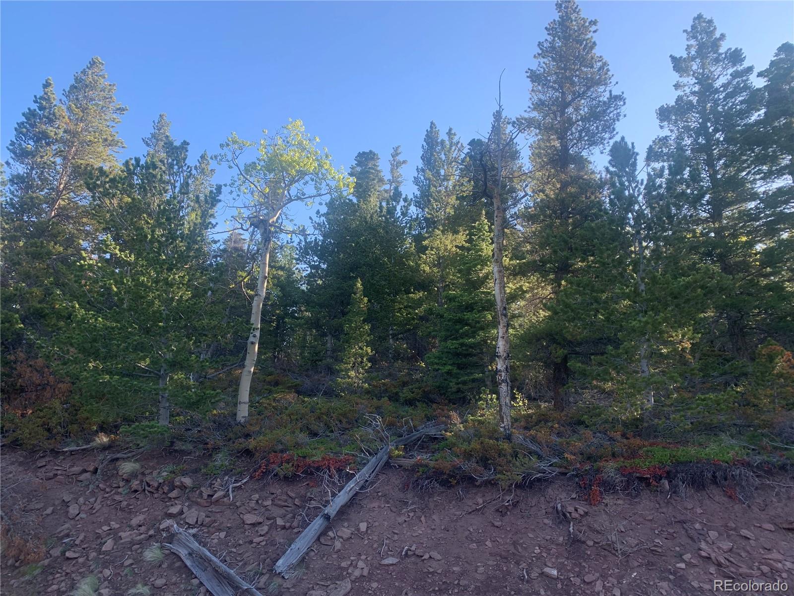 3207 Vaughn Ln Lot 3207, Fort Garland, CO 81133