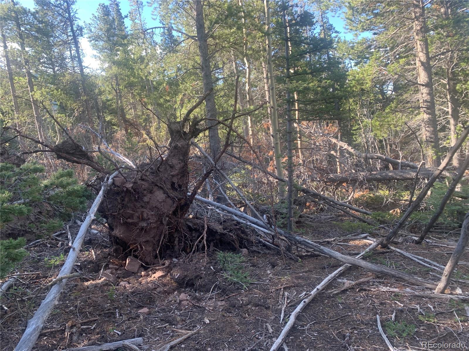 3207 Vaughn Ln Lot 3207, Fort Garland, CO 81133