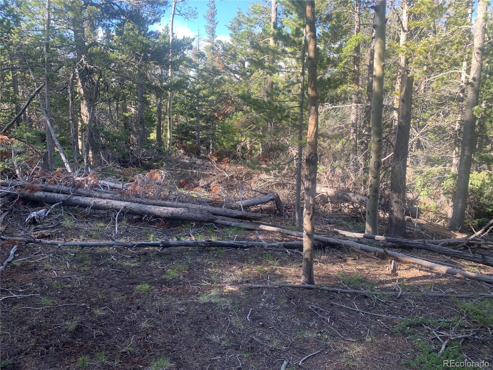 3207 Vaughn Ln Lot 3207, Fort Garland, CO 81133