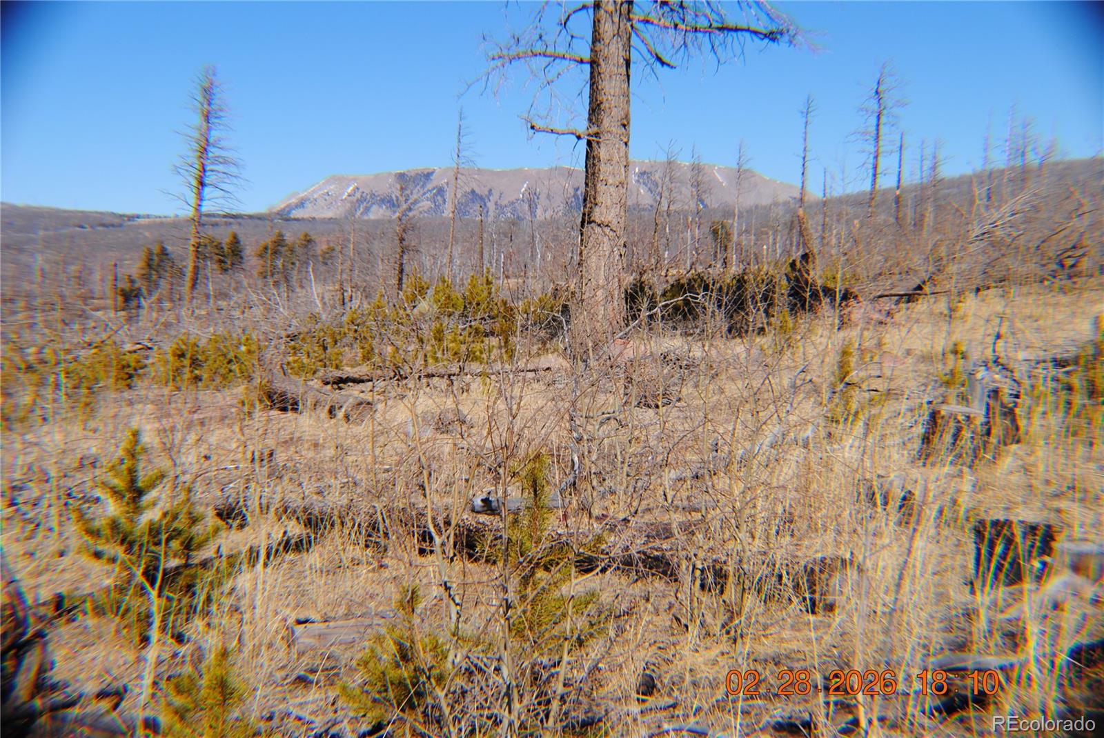 1043 Saul Pl, Fort Garland, CO 81133