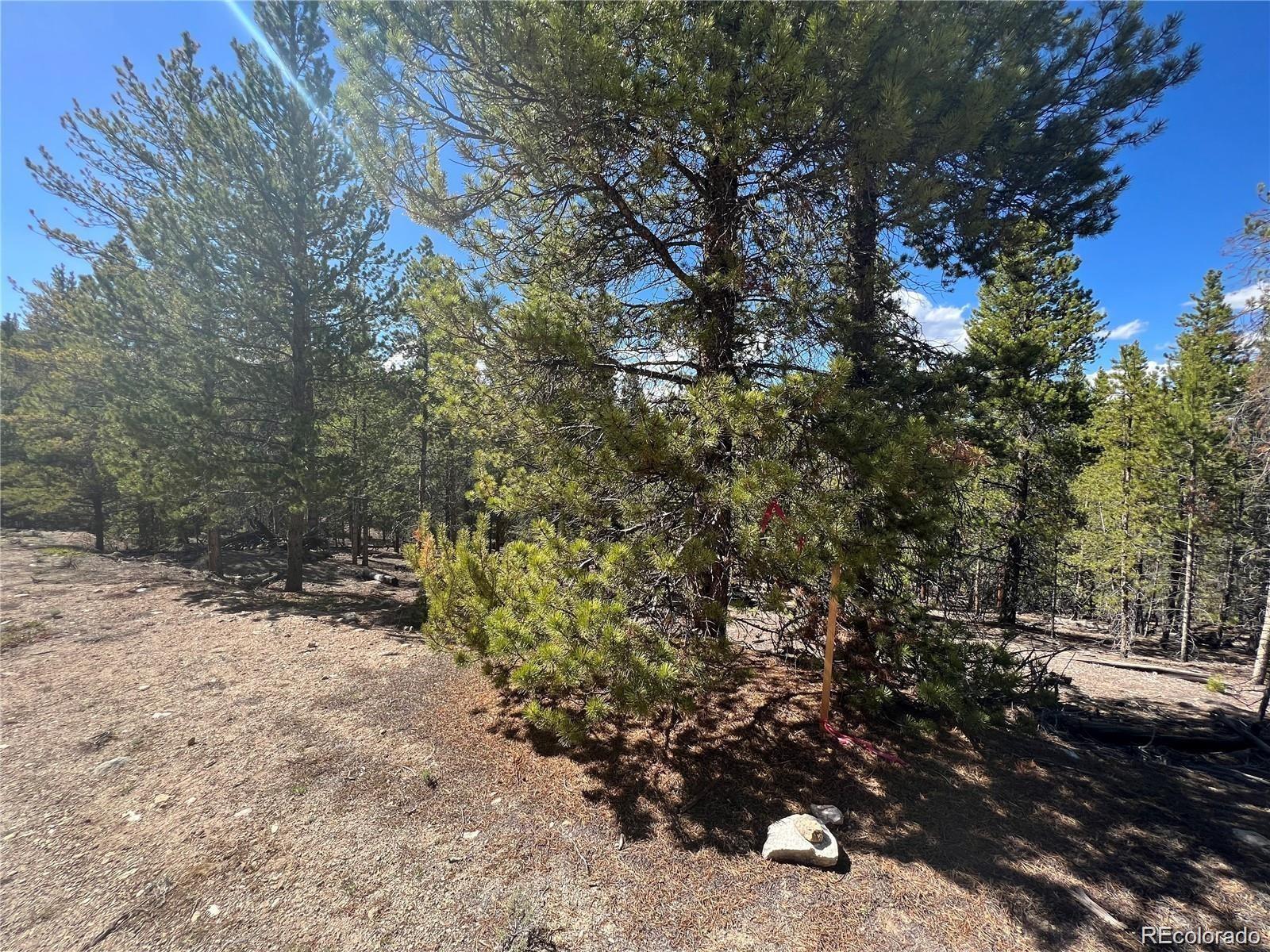123 Lodgepole Dr, Leadville, CO 80461