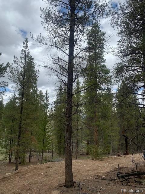 123 Lodgepole Dr, Leadville, CO 80461
