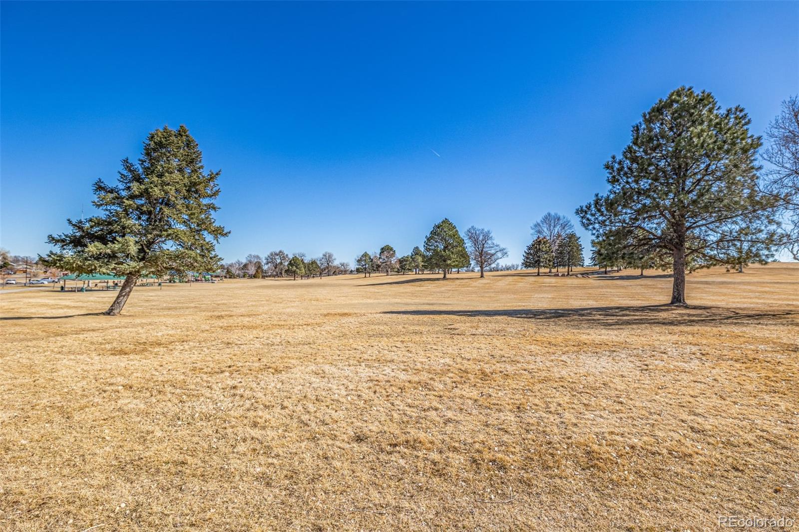2241 Coronado Pw #B, Denver, CO 80229