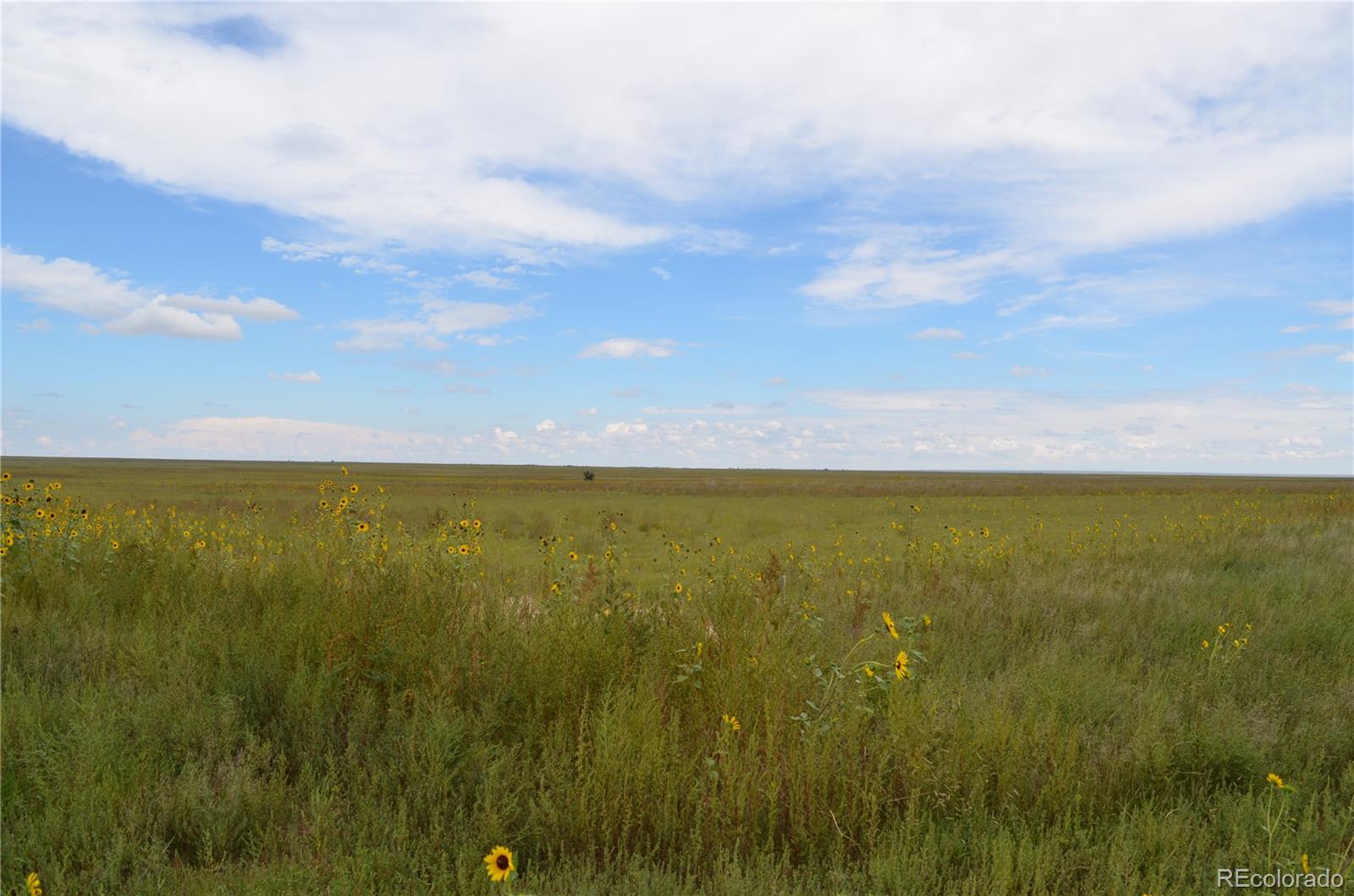 Parcel 8 County Rd V, Rush, CO 80833