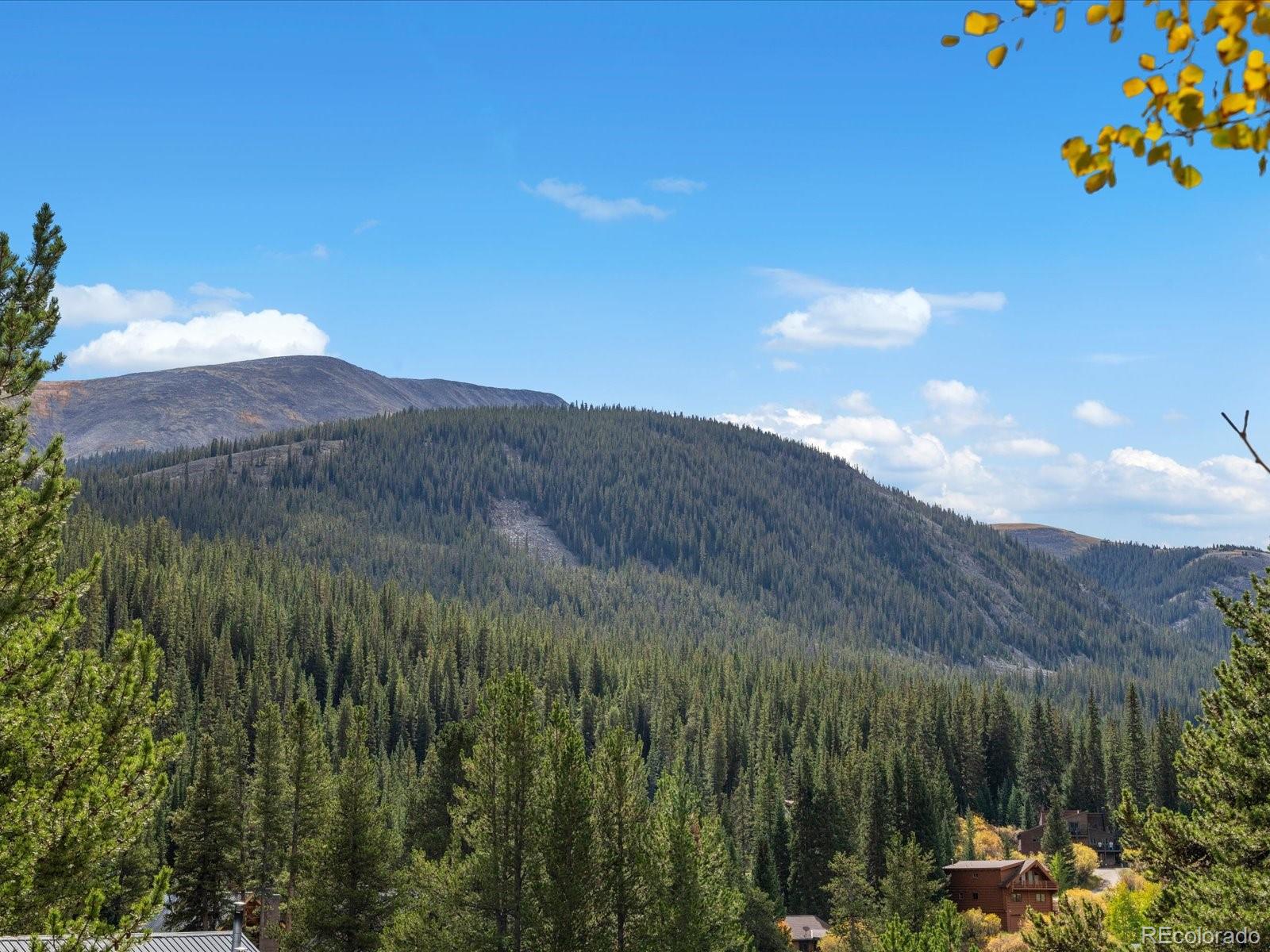 12 Red Mountain Trl, Breckenridge, CO 80424