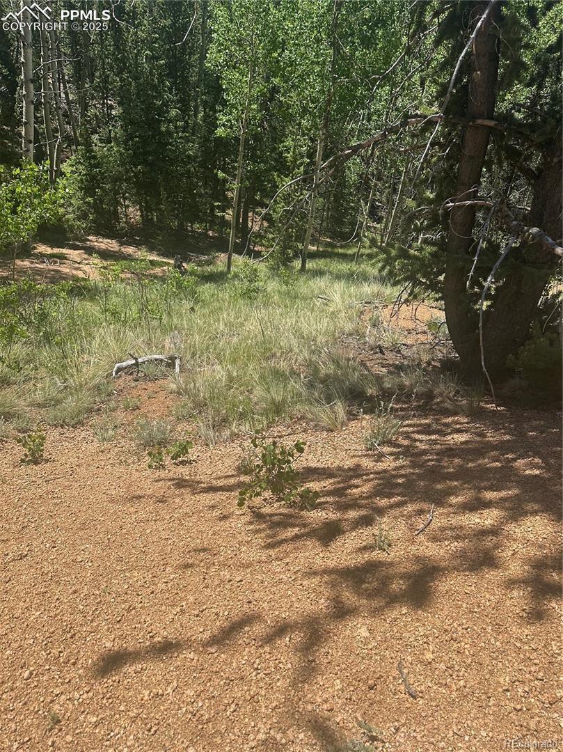 110 Brown Bear Ln, Cripple Creek, CO 80813