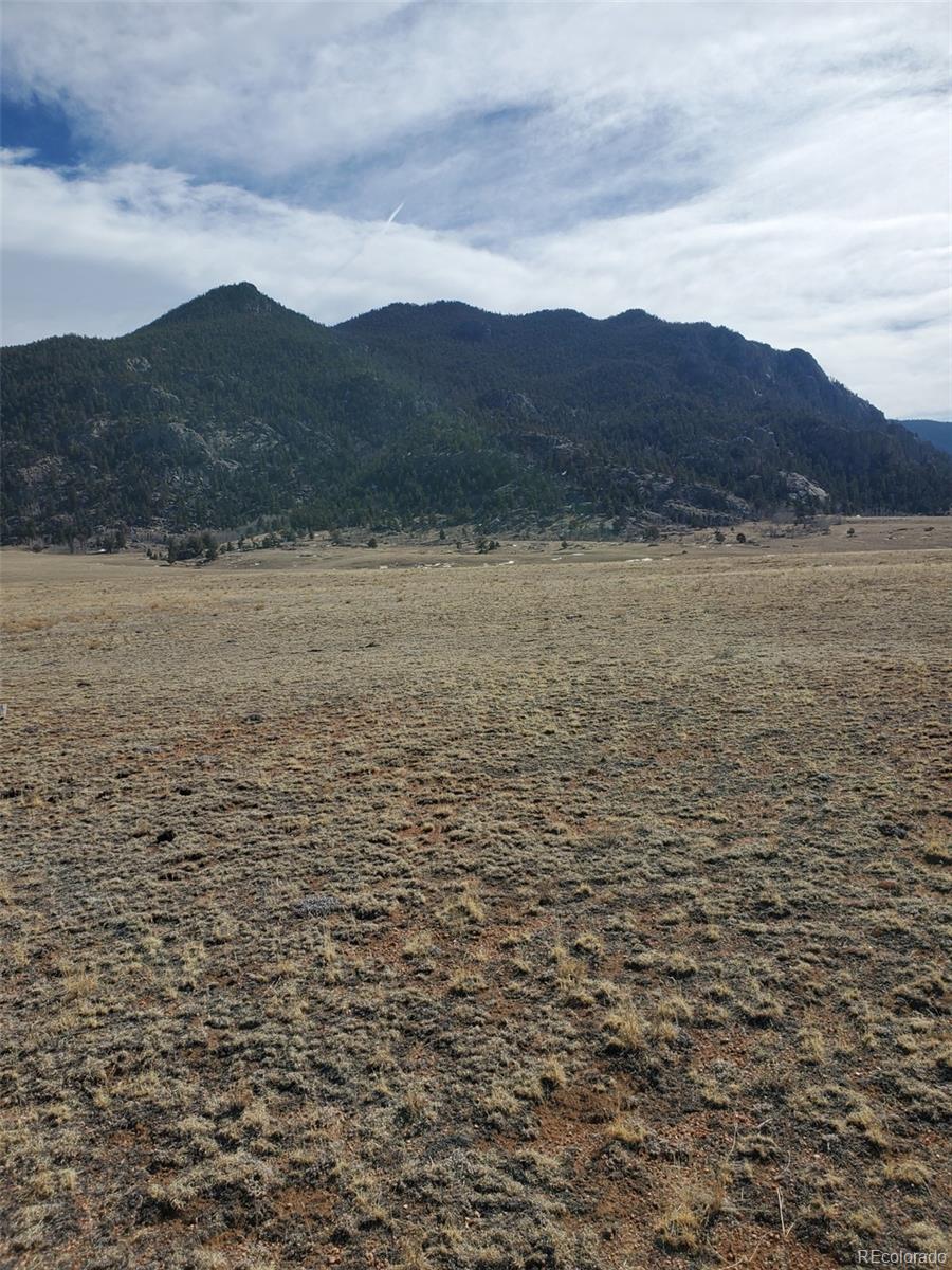 County Road 333, Lake George, CO 80827