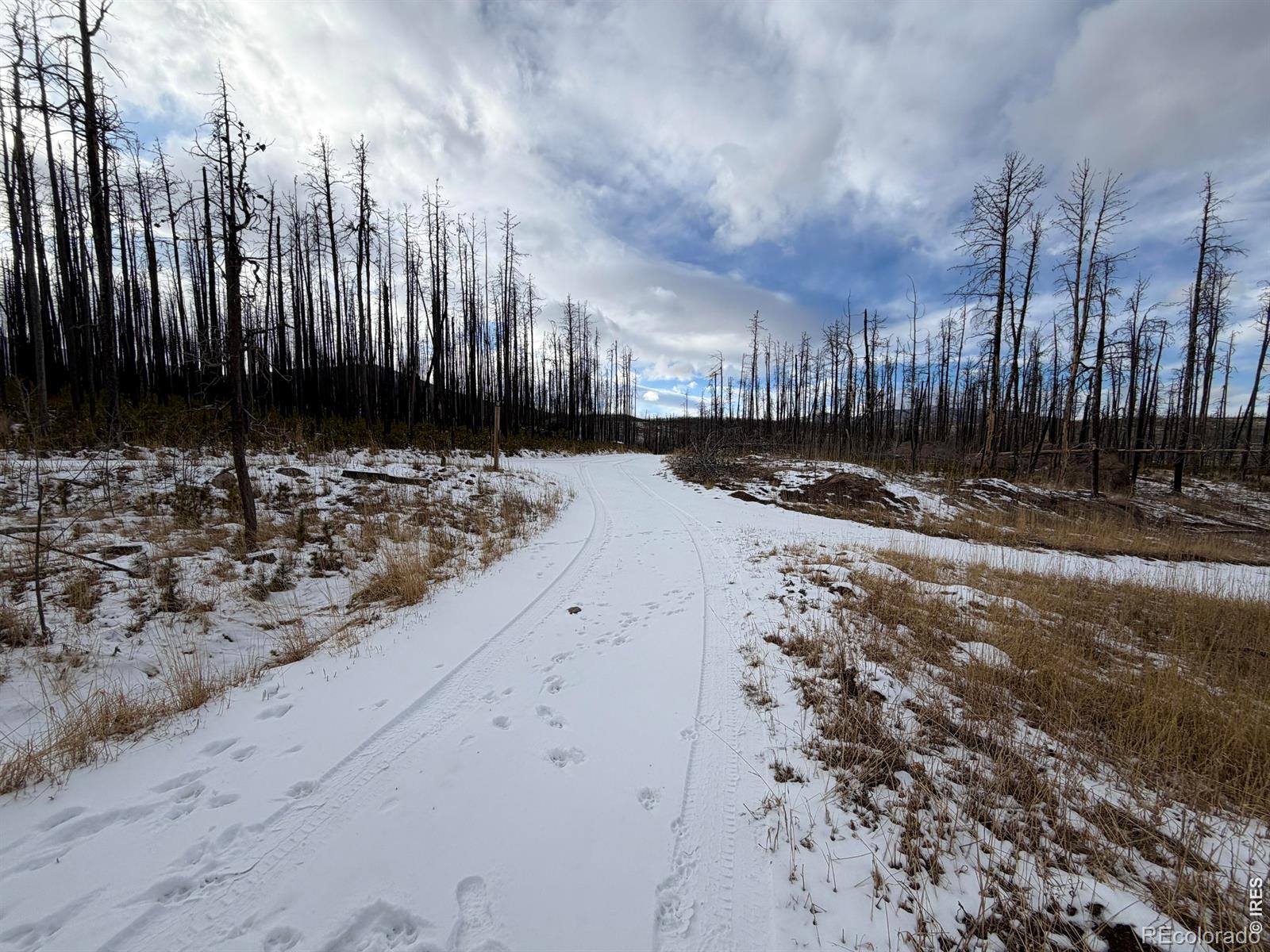 2025 Granite Rd, Bellvue, CO 80512