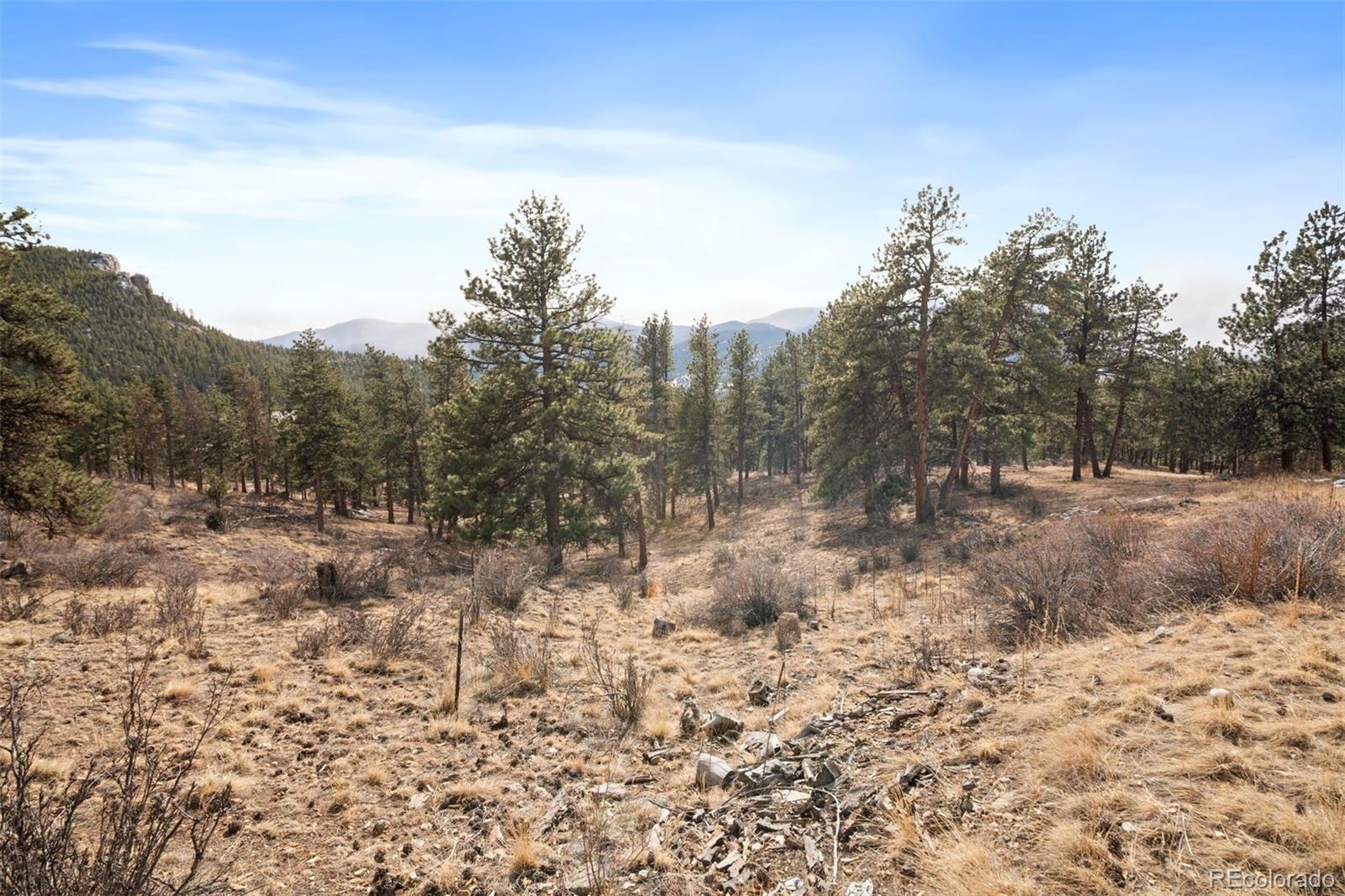 260 Bailey Dr Lot 6, Bailey, CO 80421