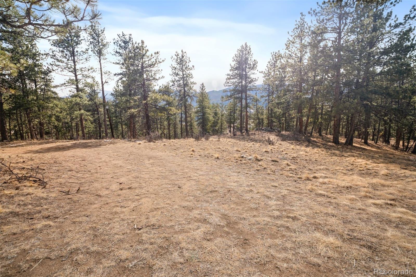 260 Bailey Dr Lot 6, Bailey, CO 80421