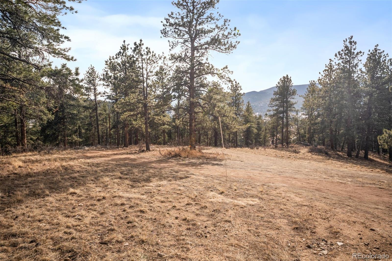 260 Bailey Dr Lot 6, Bailey, CO 80421