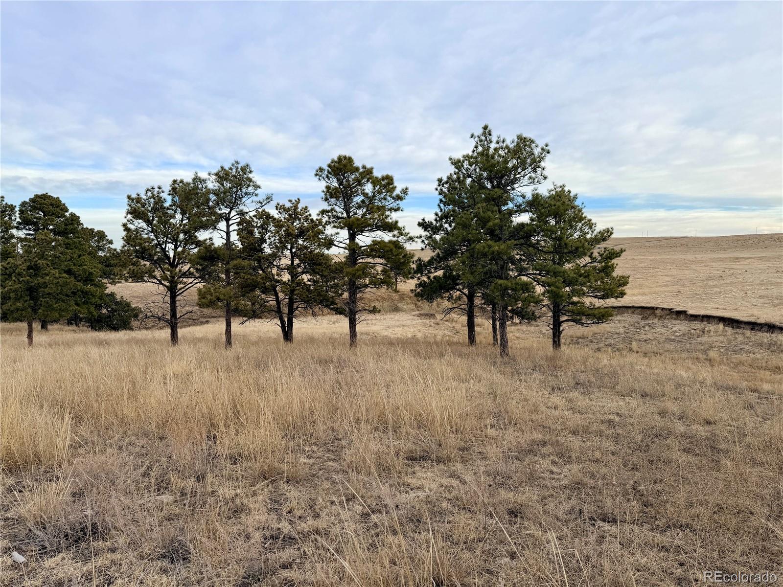 06 County Road 122, Ramah, CO 80832