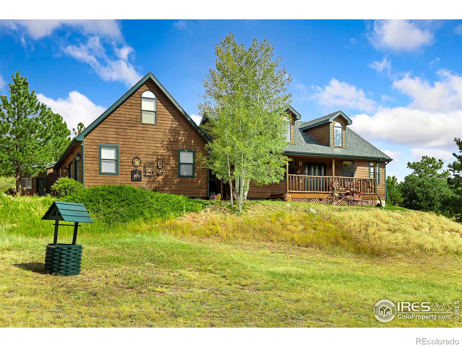 98 Deadhorse Mountain Ct, Livermore, CO 80536