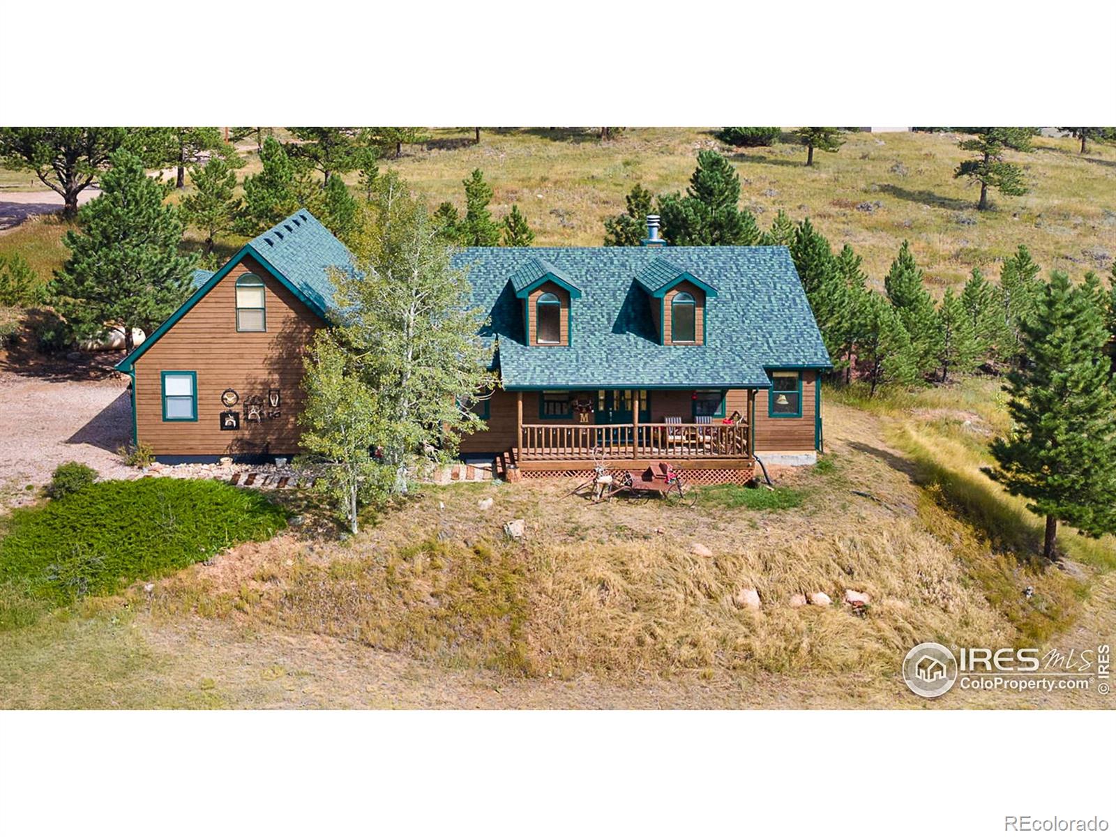 98 Deadhorse Mountain Ct, Livermore, CO 80536