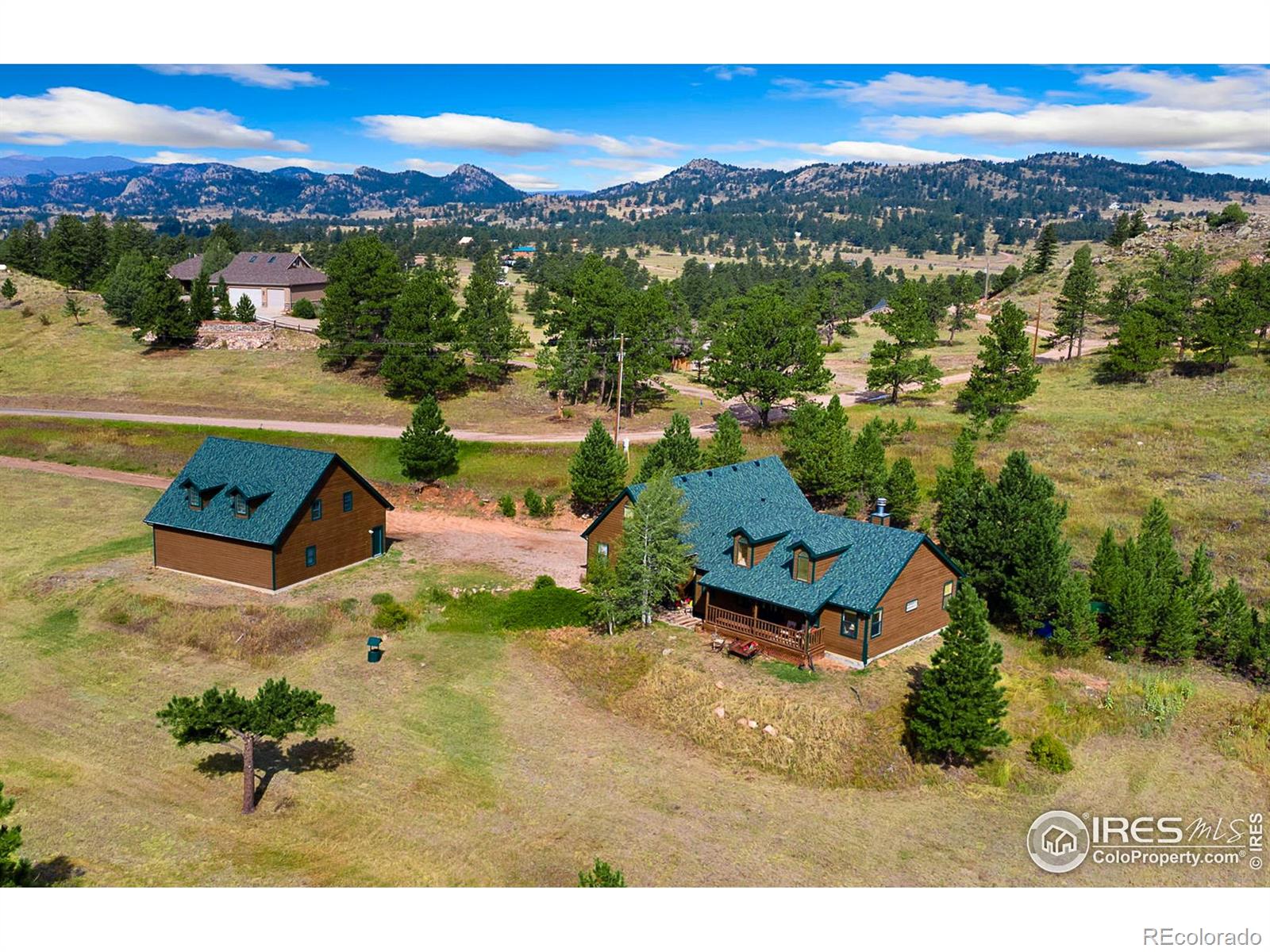 98 Deadhorse Mountain Ct, Livermore, CO 80536