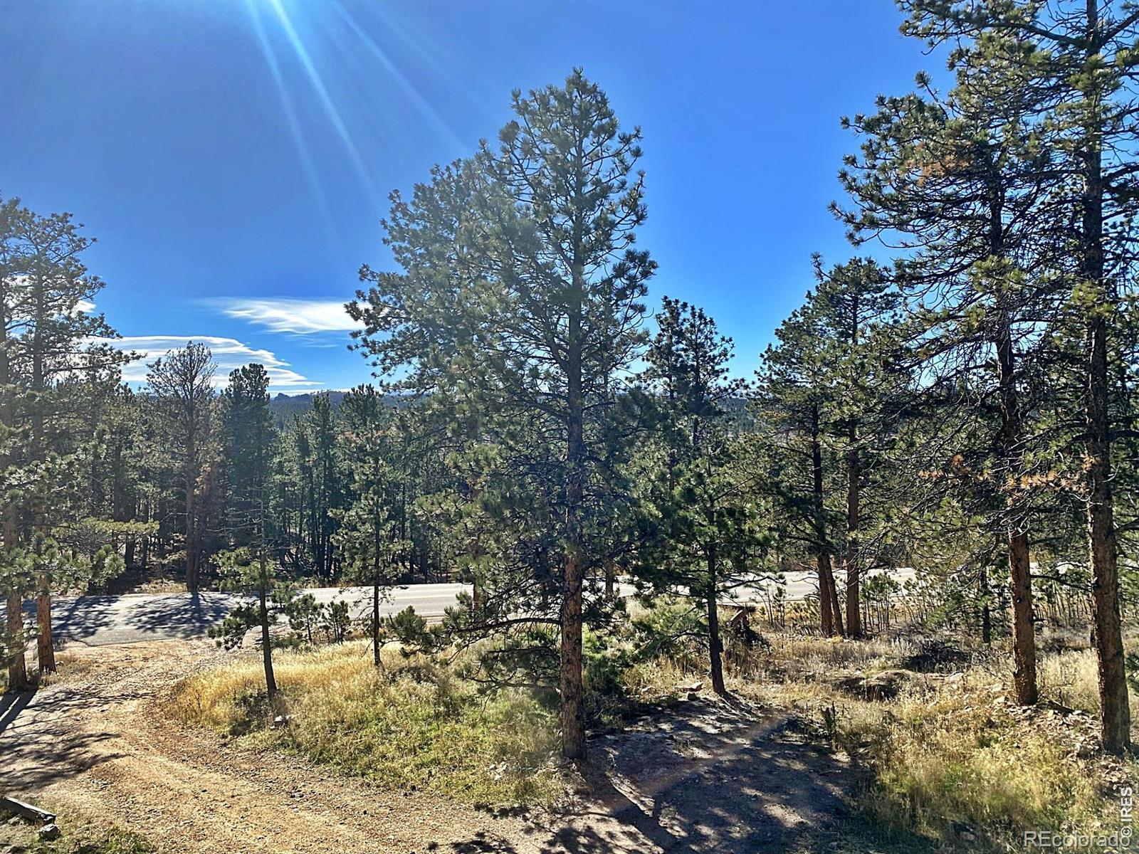 24192 W County Road 74e, Red Feather Lakes, CO 80545
