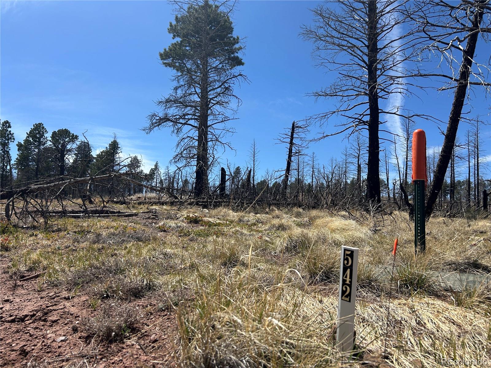 lot 542 Forbes Pk Lot 542, Fort Garland, CO 81133