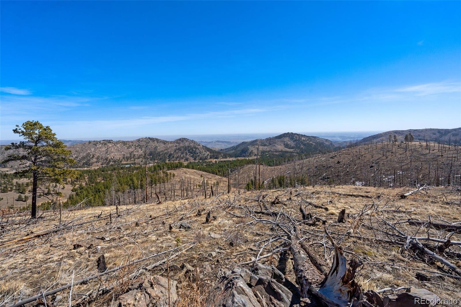 Rist Creek Rd, Bellvue, CO 80512