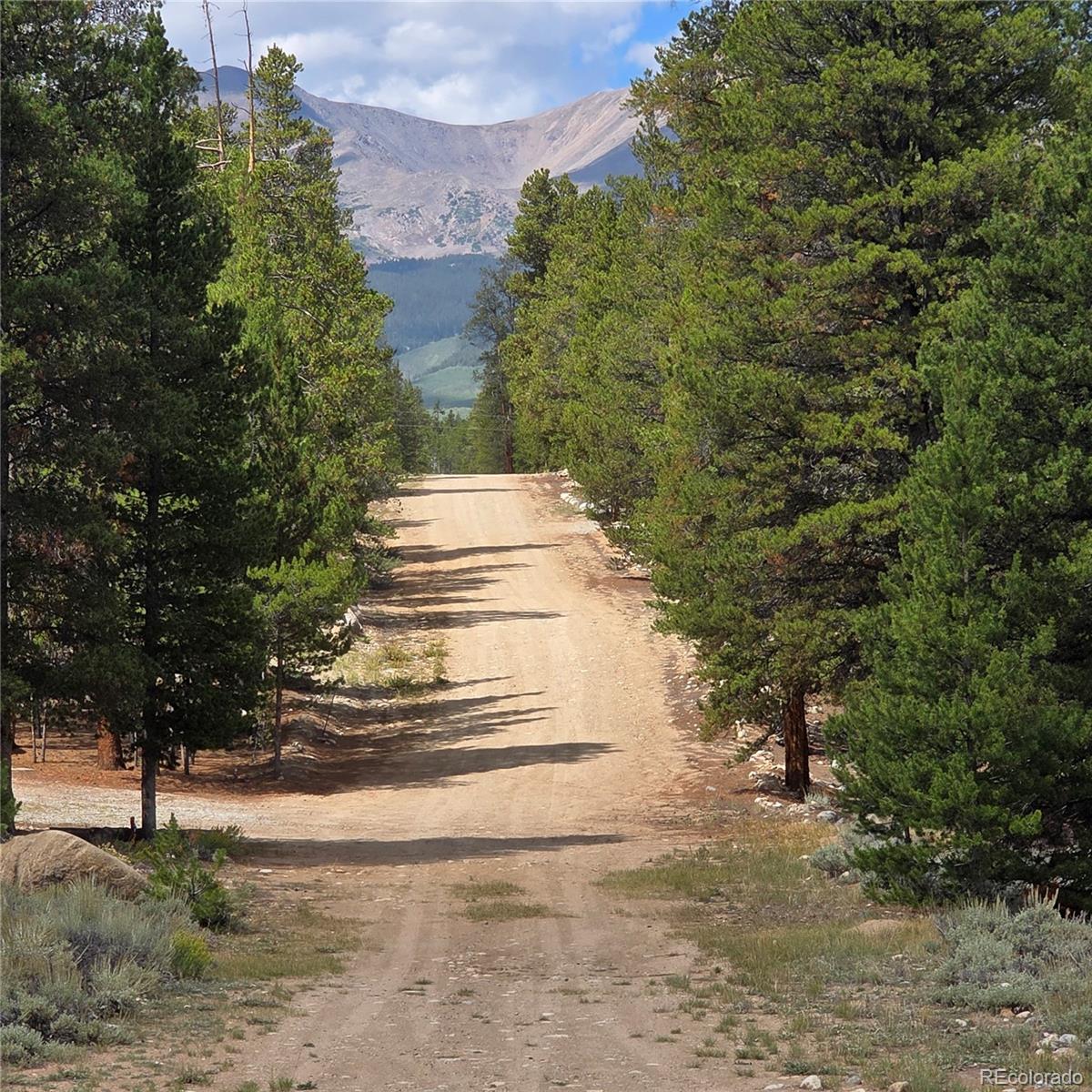 28 Juniper Dr, Twin Lakes, CO 81251