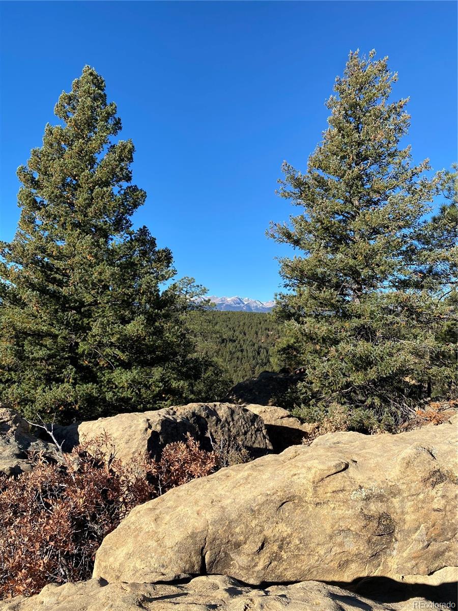 County Rd 23 3, Weston, CO 81091