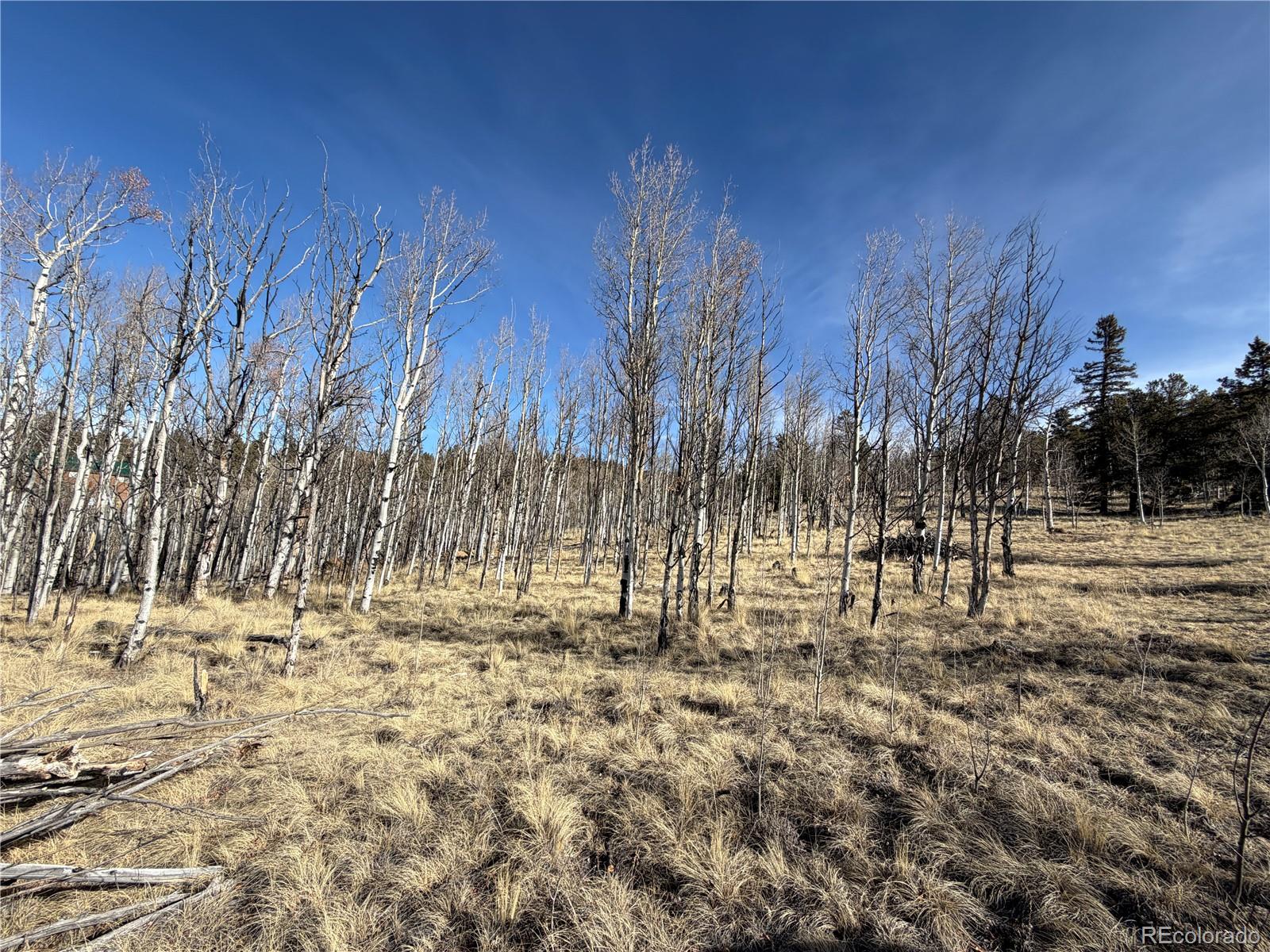 32 Sugar Loaf Ln Lot 160, Jefferson, CO 80456