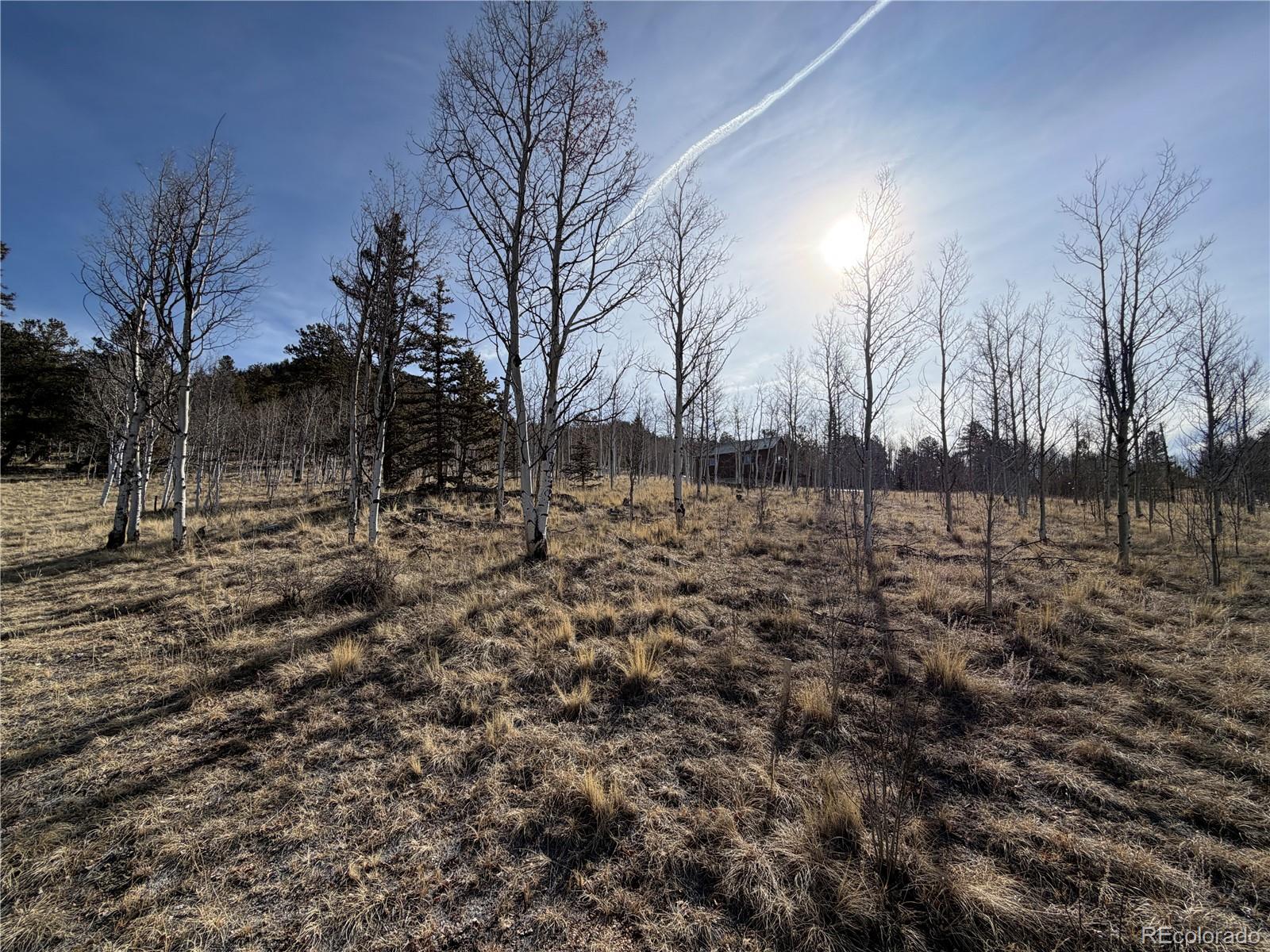 32 Sugar Loaf Ln Lot 160, Jefferson, CO 80456