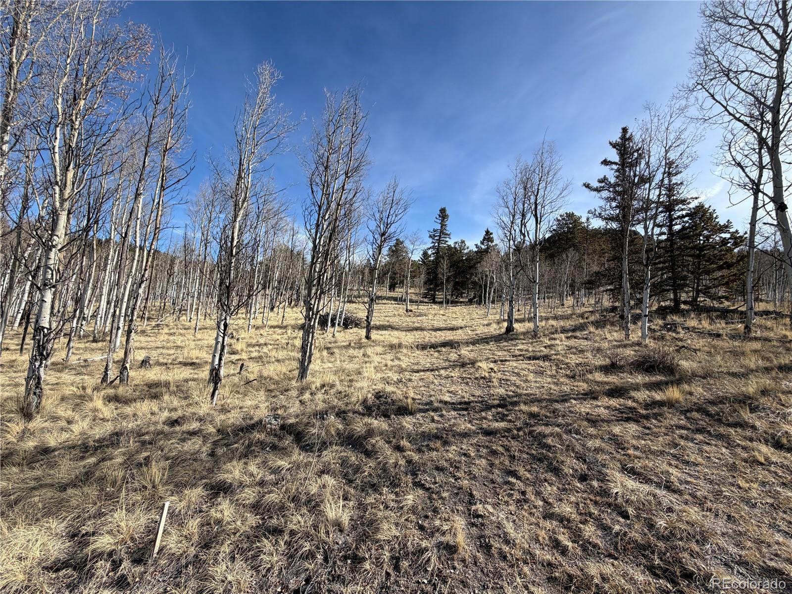 32 Sugar Loaf Ln Lot 160, Jefferson, CO 80456