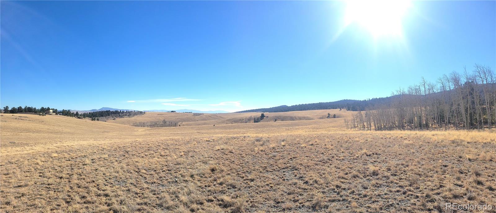 8802 Ranch Rd, Hartsel, CO 80449