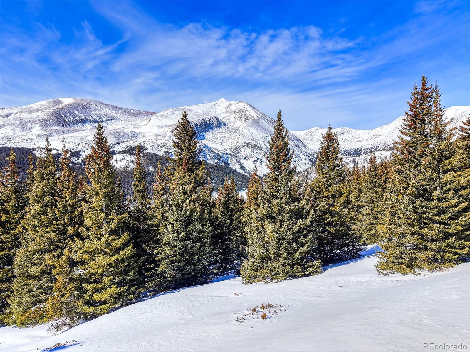 58969 Highway 9, Alma, CO 80420