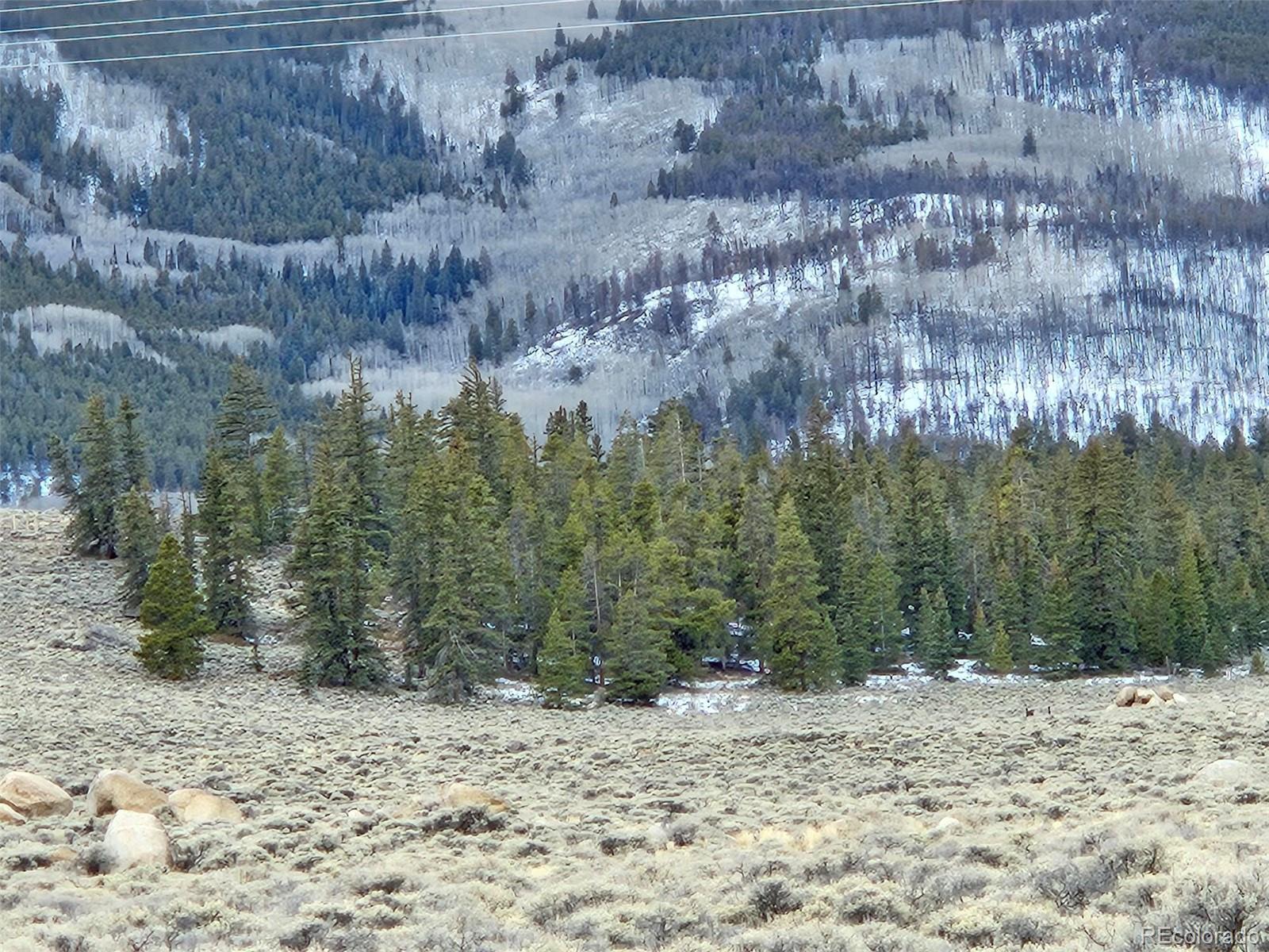 Parcel 11 Tract 11, Twin Lakes, CO 81251