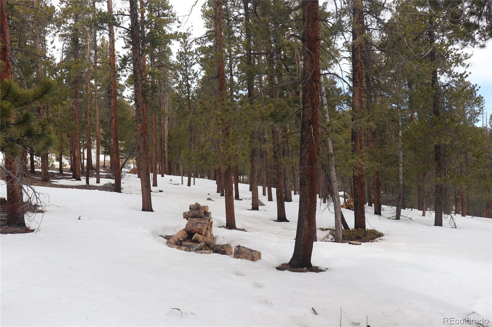 Aspen Turn Lot 14, Buena Vista, CO 81211