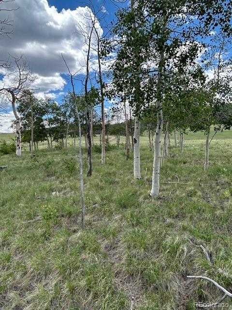 807 Bolster Dr Lot 1085, Hartsel, CO 80449