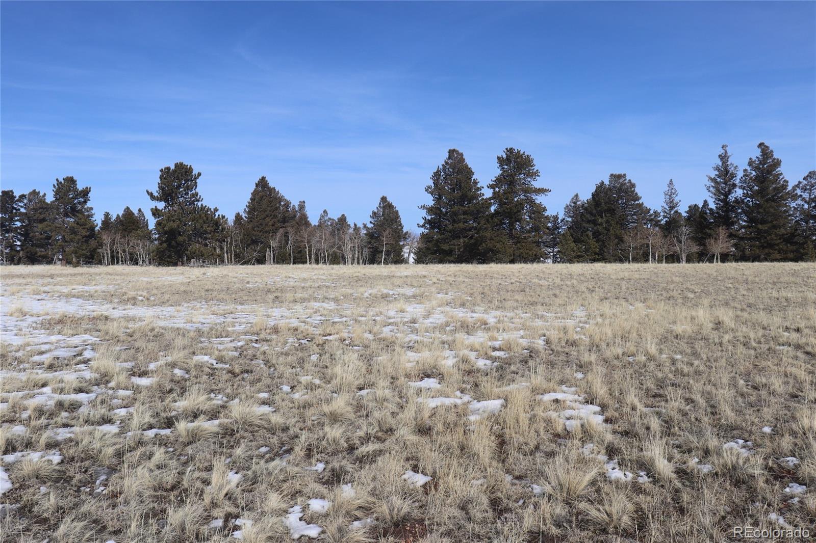 96 Baler Ct Lot 893, Hartsel, CO 80449