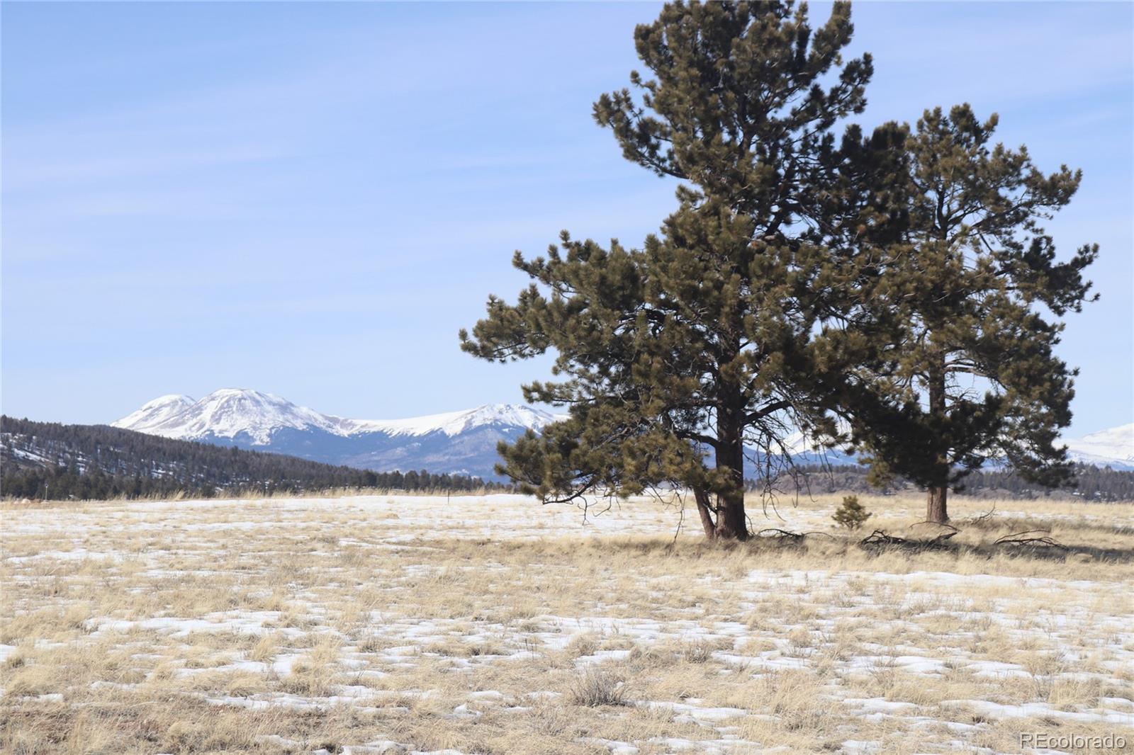 96 Baler Ct Lot 893, Hartsel, CO 80449