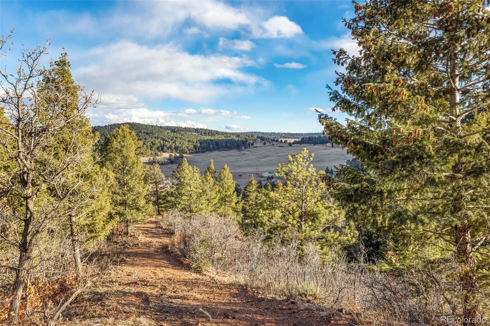 Mountain Ranch Rd, Larkspur, CO 80118