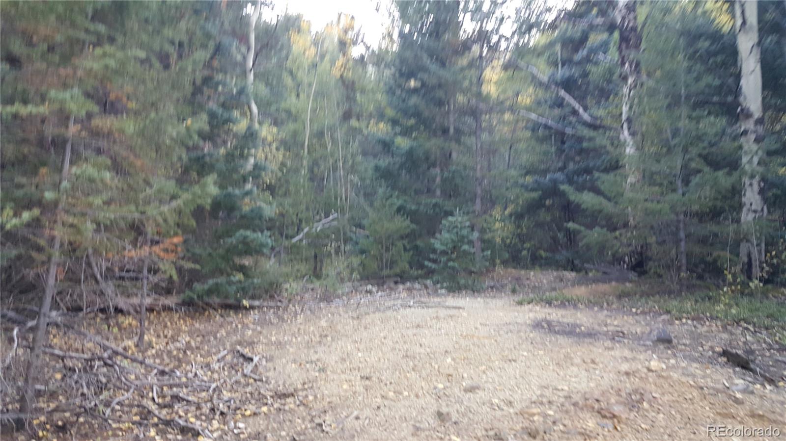 0 Ohio Gulch Trl, Dumont, CO 80436